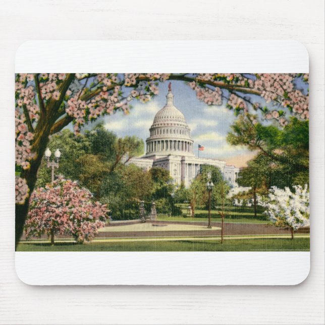 PAU46 US Capitol.tif Mousepad (Vorne)