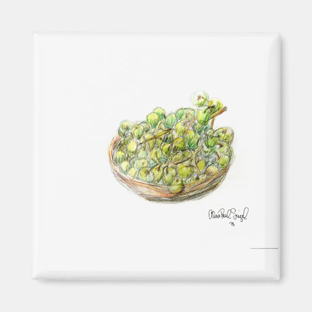 PAU55 Fruit 2.tif Magnet (Vorne)