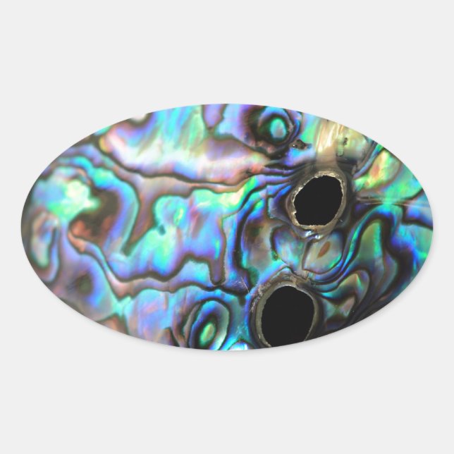 Paua abalone blue and green shell detail ovaler aufkleber (Vorderseite)