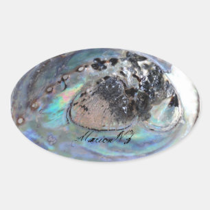 Paua Sticker