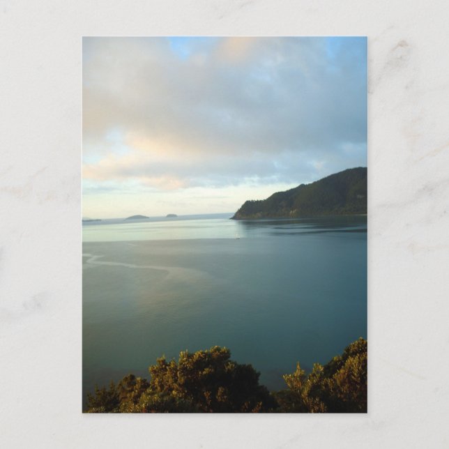 Pauanui Bay Coromandel New Zealand Postkarten (Vorderseite)