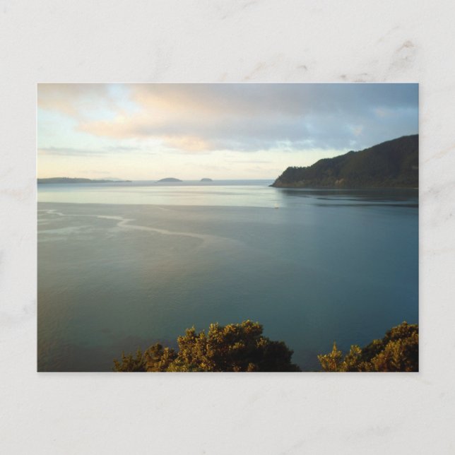 Pauanui Beach Bay Neuseeland Postkarten (Vorderseite)