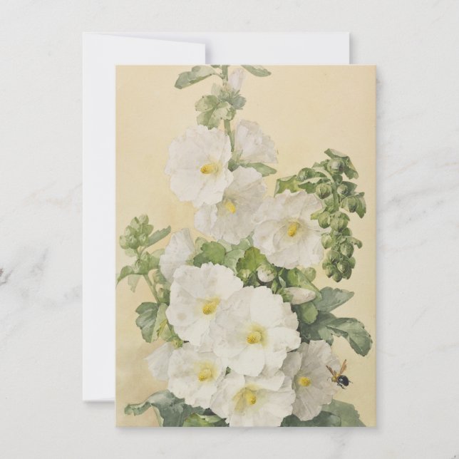 Paul De Longpre - Hollyhocks 1901 Einladung (Vorderseite)