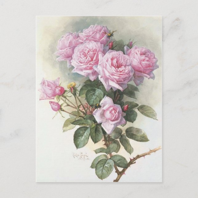 Paul_de_Longpré_-_Rose_und_Hummeln,_1899 Postkarte (Vorderseite)