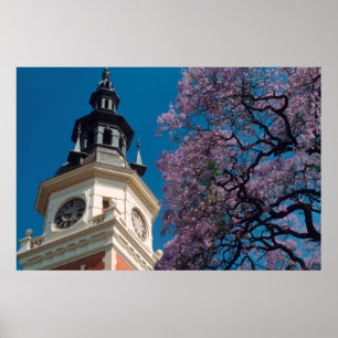 Paul-Kruger-Kirche, Pretoria, Provinz Gauteng Poster