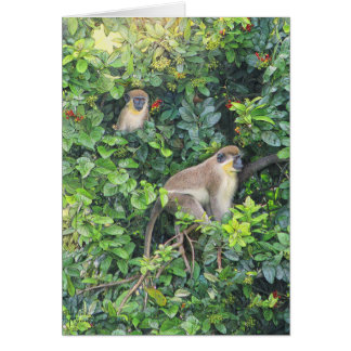 Paul McGehee "Monkeying Around"-Karte