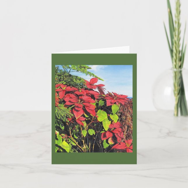 Paul McGehee "Poinsettias" Karte (Vorderseite)