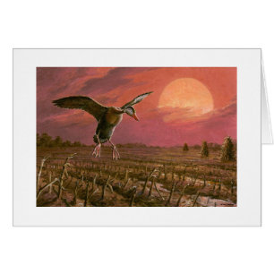 Paul McGehee "Sonnenuntergang Wings" Karte