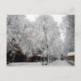 Paul Revere Mall Trees bedeckt mit Winterschnee Postkarte