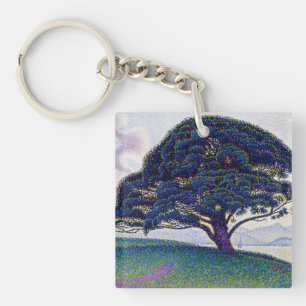Paul Signac - Le pin de Bonaventure