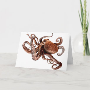 Paul The Octopus Karte