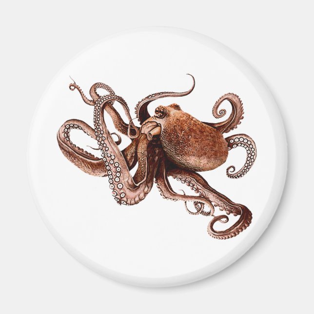 Paul The Octopus Magnet (Vorne)