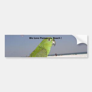 paulie Strand, wir Liebepensacola-Strand! Autoaufkleber