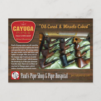 Paul's Cayuga Postcard Postkarte