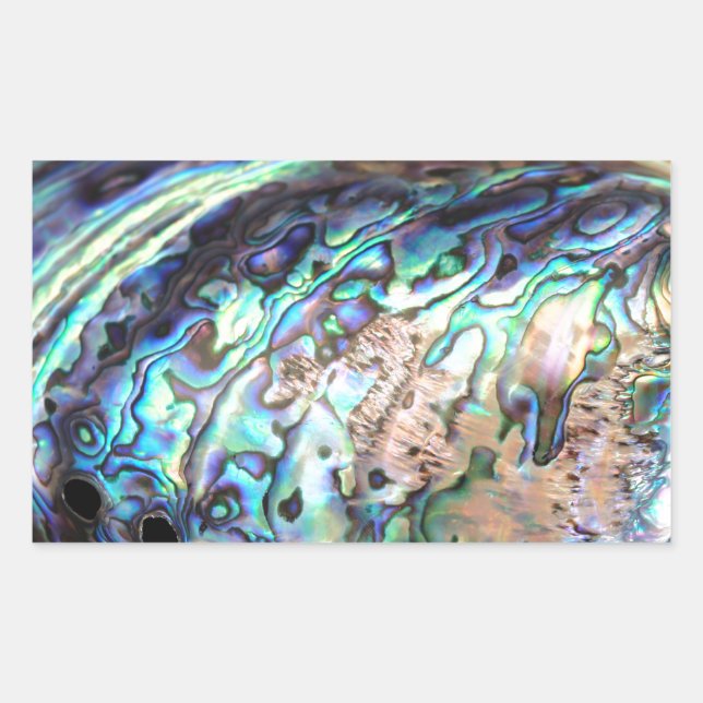 Pauschal, blau und grün, Muscheln Rechteckiger Aufkleber (Vorderseite)