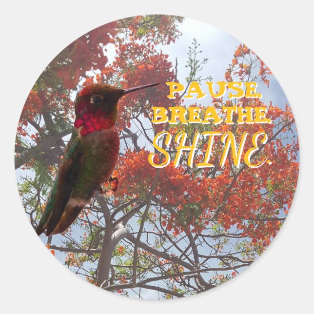 PAUSE. BREATHE. SHINE. Hummingbird  Runder Aufkleber (Vorderseite)