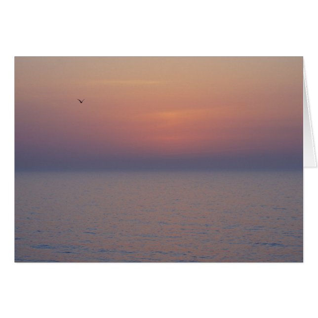 Pause du matin (Devant horizontal)