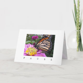 Pausenkarte: Monarch auf rosa Zinnia Karte