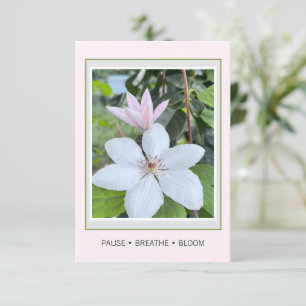 Pausiere Atme Erblühe Florale Garten Postkarte
