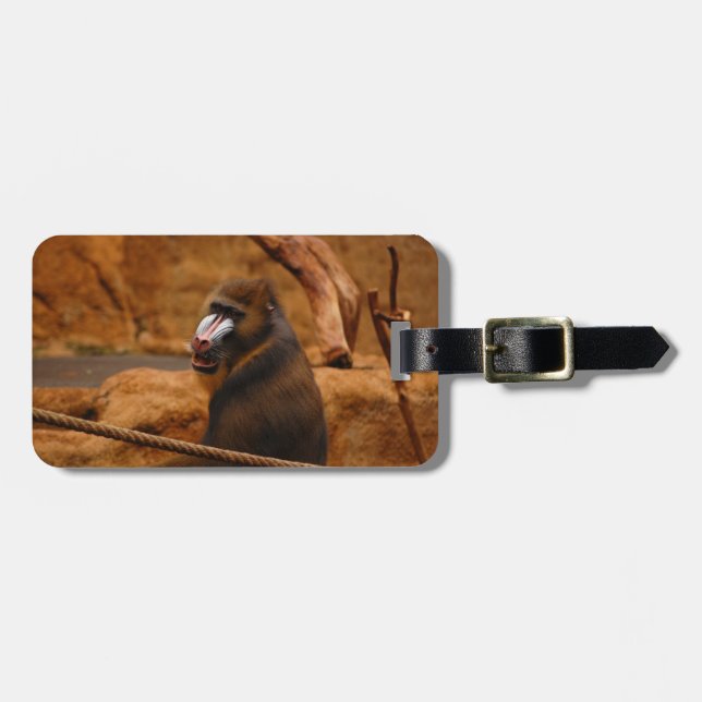 Pavian/Baboon Gepäckanhänger (Vorderseite horizontal)