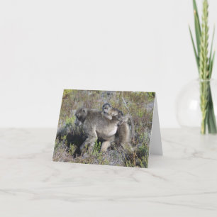 Pavian Notecard Karte