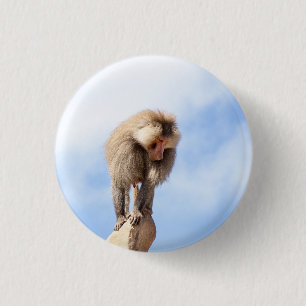 Pavianaffe auf einem Berggipfel Button