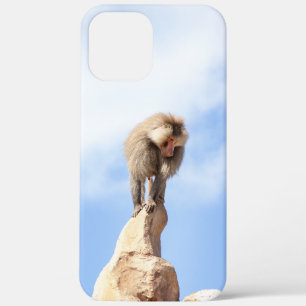 Pavianaffe auf einem Berggipfel Case-Mate iPhone Hülle