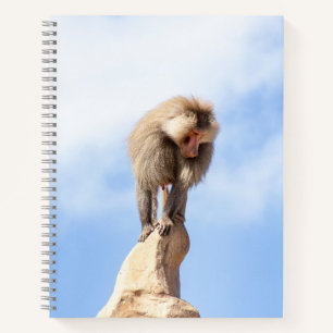 Pavianaffe auf einem Berggipfel Notizbuch