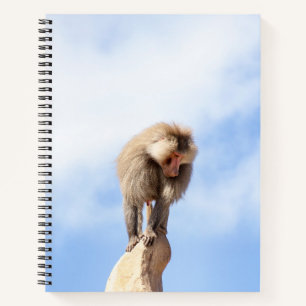 Pavianaffe auf einem Berggipfel Notizbuch
