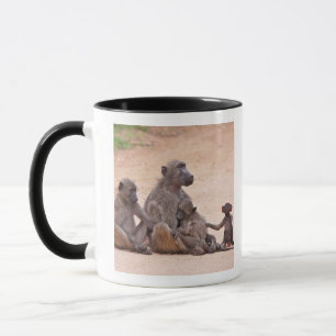 Pavianfamilie, die auf dem Boden sitzt Tasse