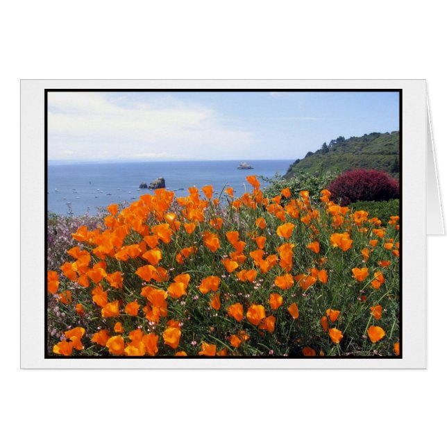 Pavot de Californie au-dessus de Trinidad Bay (Devant horizontal)
