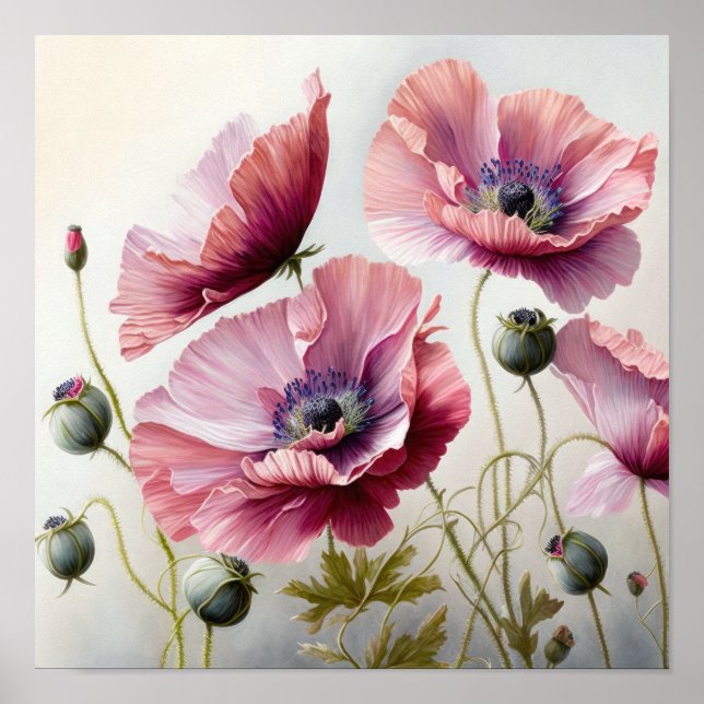Pavot rose Fleurs Art Imprimer Poster (Devant)