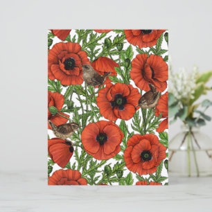 Pavot rouge et brindilles, feuilles verts sur blan