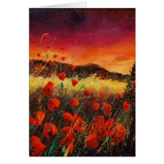 pavots au coucher du soleil 76