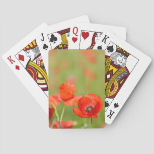 Pavots dans des cartes de jeu de champ de pavot