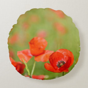 Pavots dans un coussin rond de champ de pavot