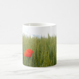Pavots dans une tasse de champ de blé