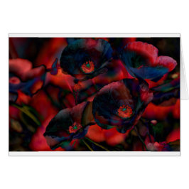 Pavots noirs
