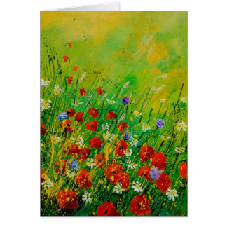 pavots rouges 450708