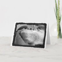 Paw dans la carte main