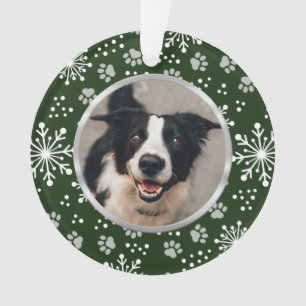 Paw Motif Pet Fléau vert Photo