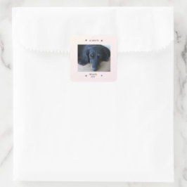 Paw Print Frame with Pet Name and Nickname Quadratischer Aufkleber
