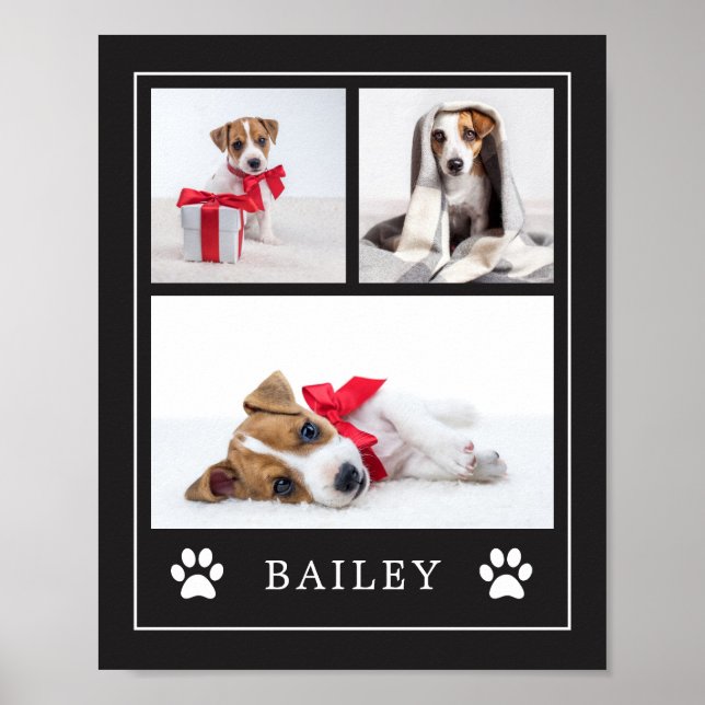 Paw Print | Hund oder Welpe mit mehreren Fotos Poster (Vorne)