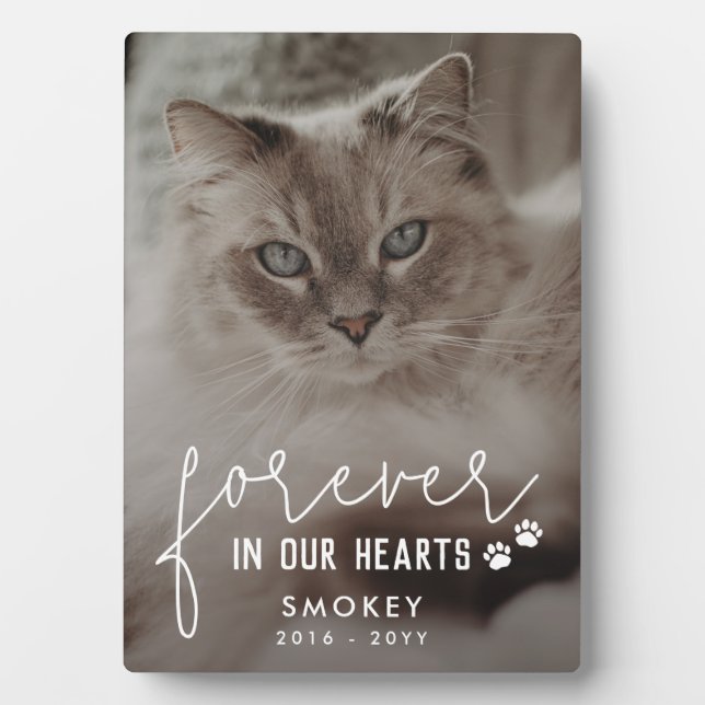 Paw Prints für immer in unserem Herz Cat Foto Fotoplatte (Vorderseite)