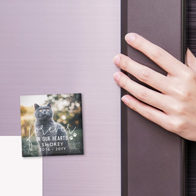 Paw Prints für immer in unserem Herz Cat Foto Magnet (Von Creator hochgeladen)
