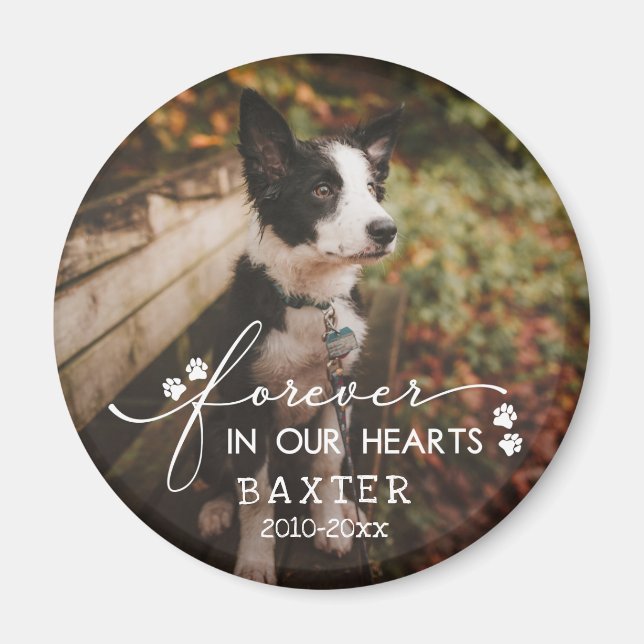 Paw Prints für immer in unserem Herz-Haustier-Foto Magnet (Vorne)
