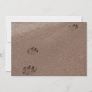 Paw Prints in Sand Einladung