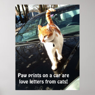 Paw Prints On A Car Are Love Letters From Cats Poster