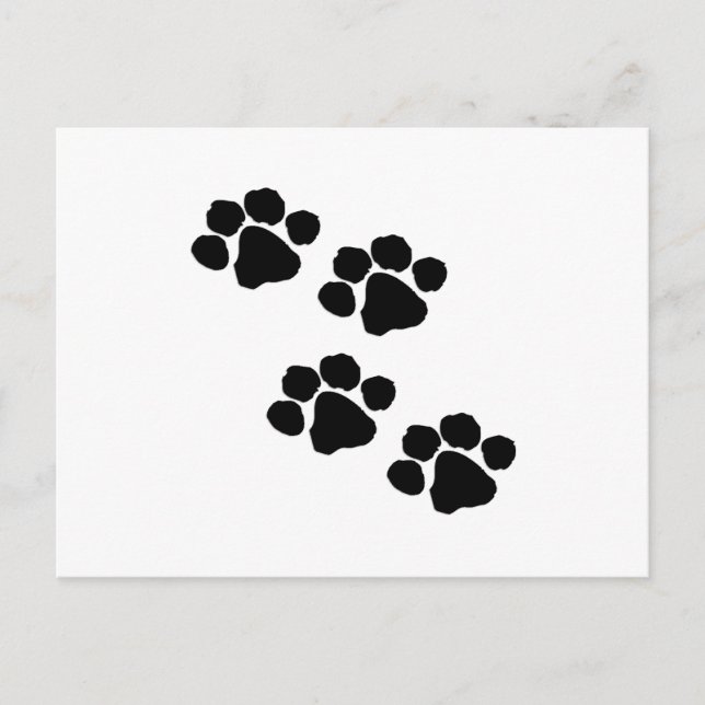 Paw Prints Postkarte (Vorderseite)