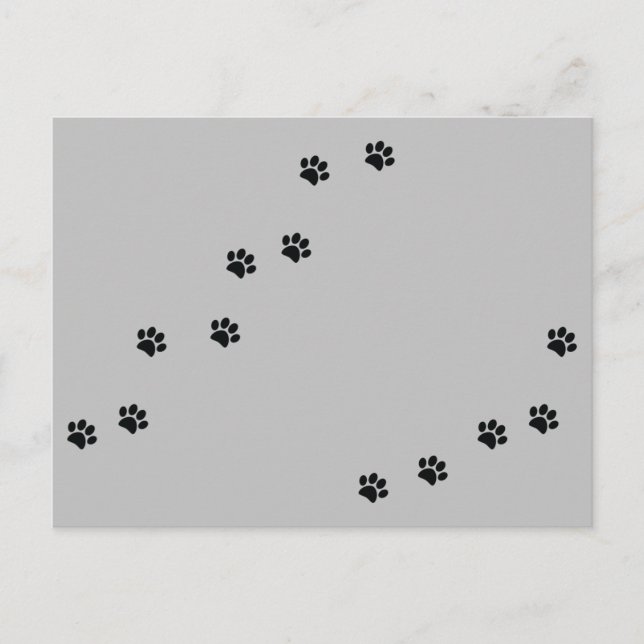 Paw Prints Postkarte (Vorderseite)